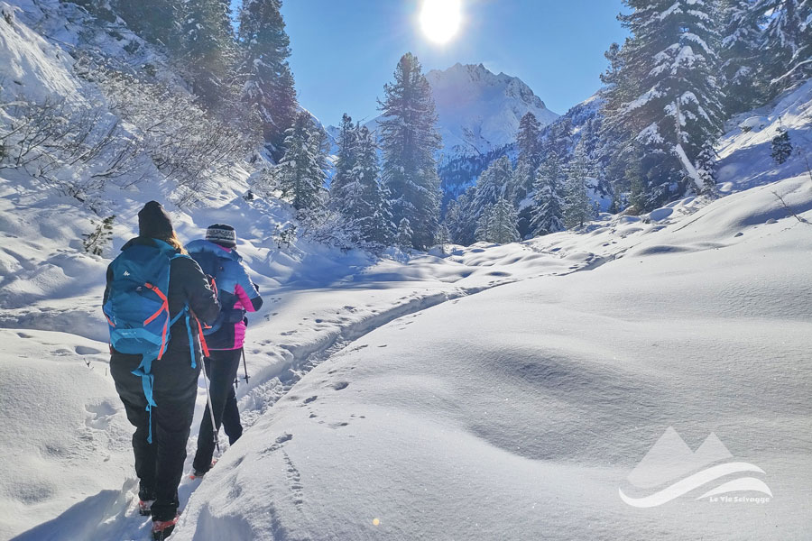 IMG20231216105112 900