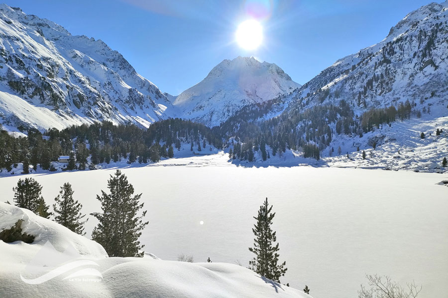 IMG20231216111003 900