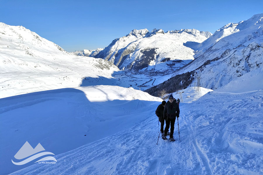 IMG20231217104441 900