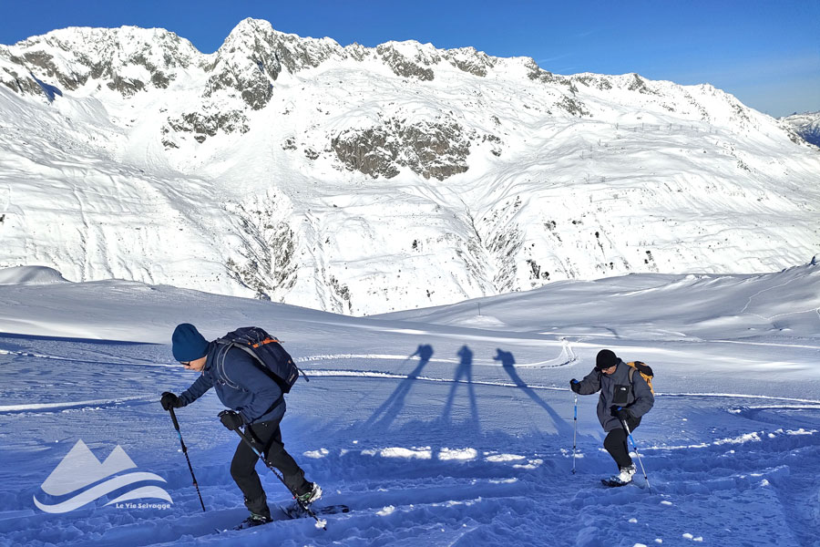 IMG20231217114742 900