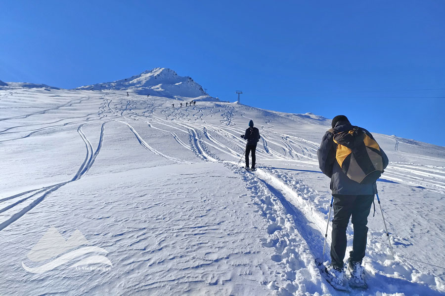 IMG20231217115406 900JPG