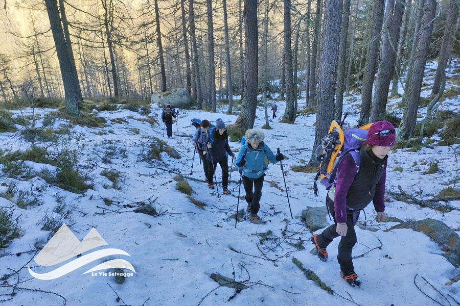 IMG20231223114614 900