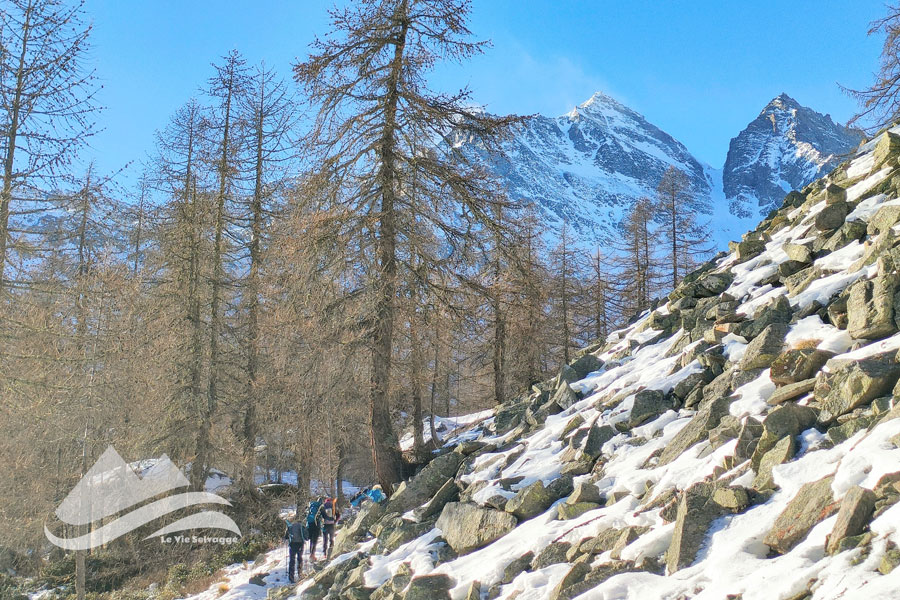 IMG20231223120732 900