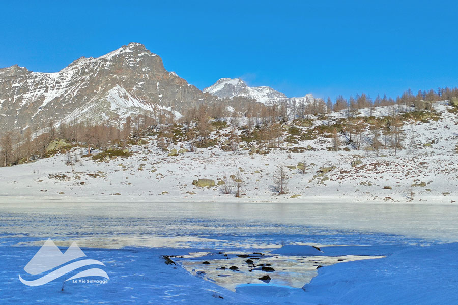 IMG20231223130112 900