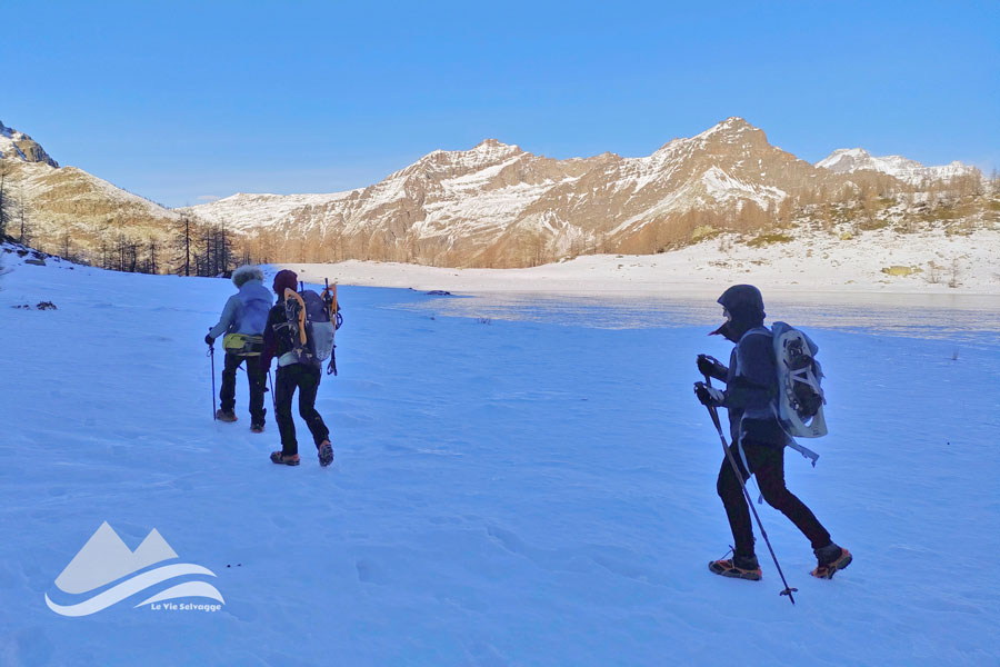 IMG20231223130321 900