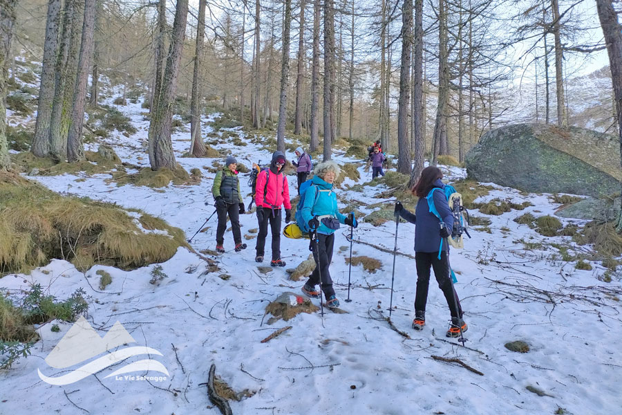 IMG20231223141946 900