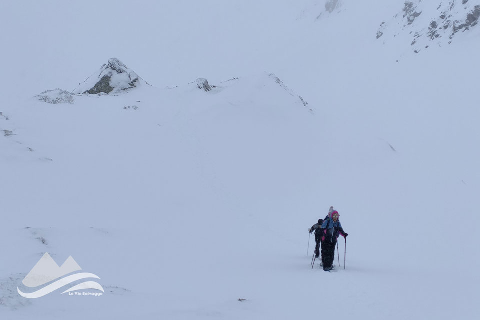 IMG20240107120635 960