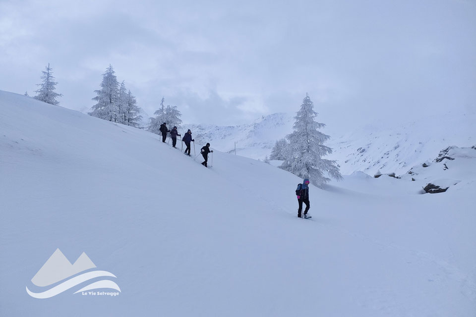 IMG 20240108 074118 960