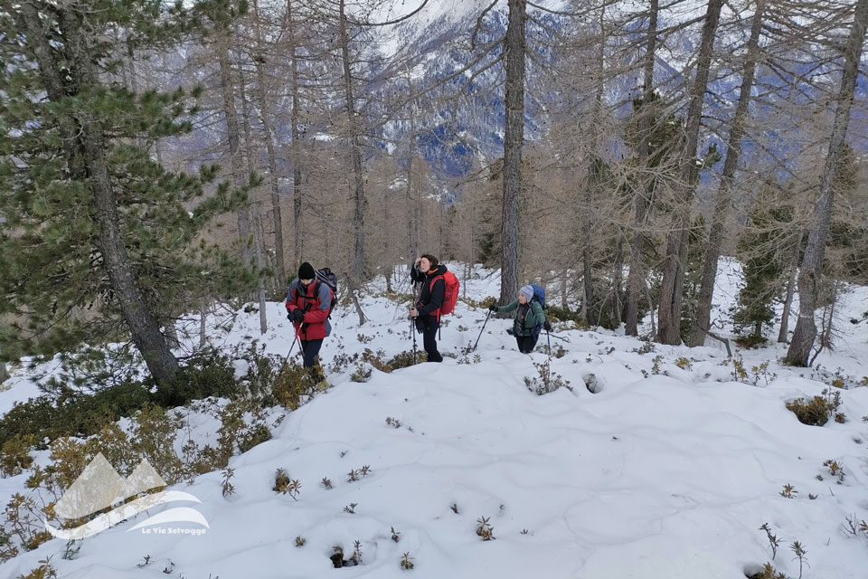 IMG20240114112922 960