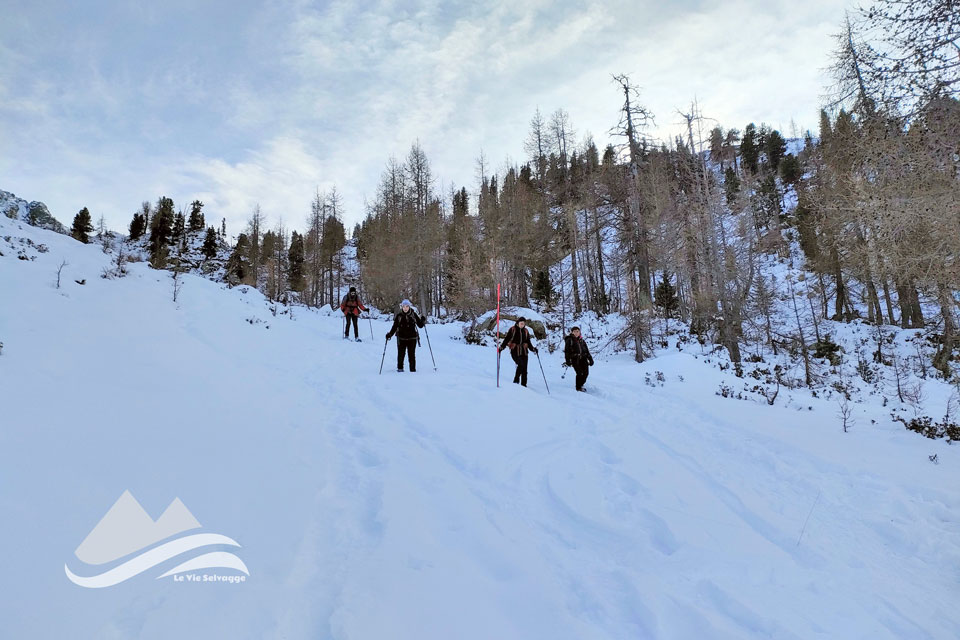 IMG20240114135328 960