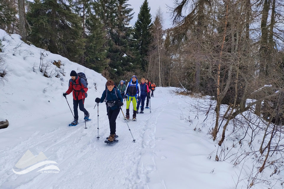 IMG 20240114 195534 960