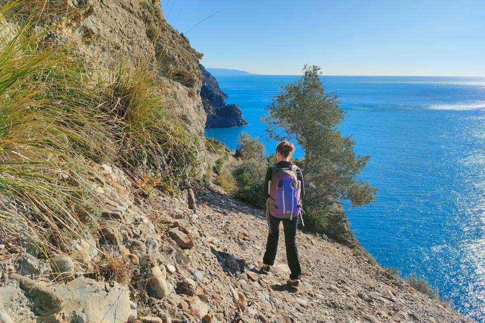 IMG20240120113050 960