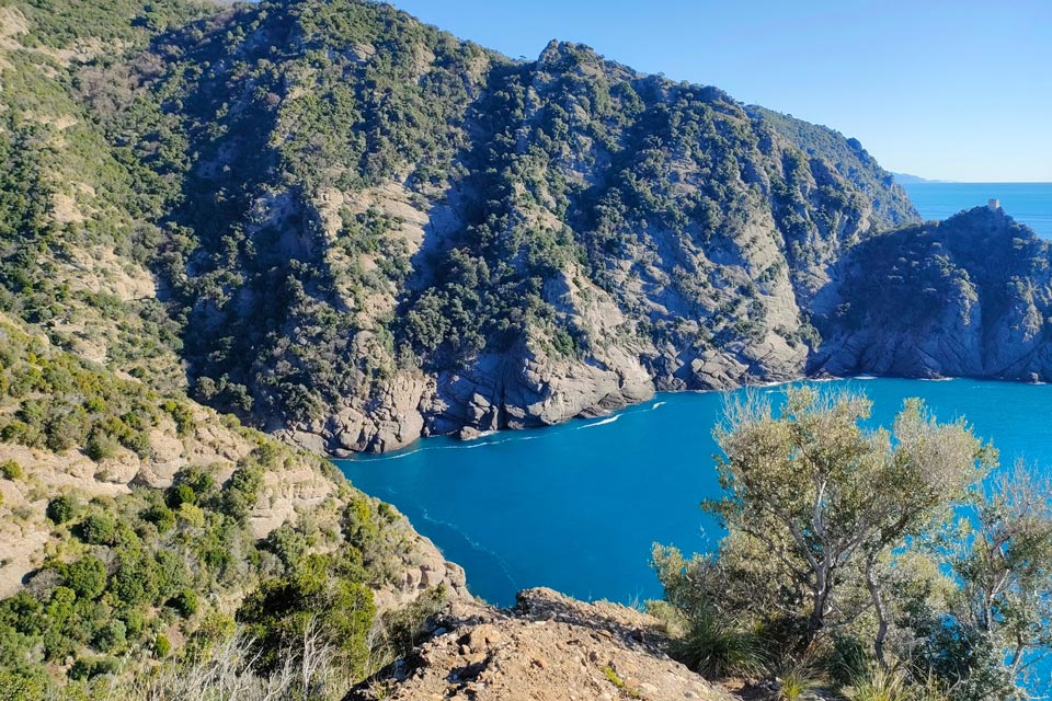 IMG20240120115547 960