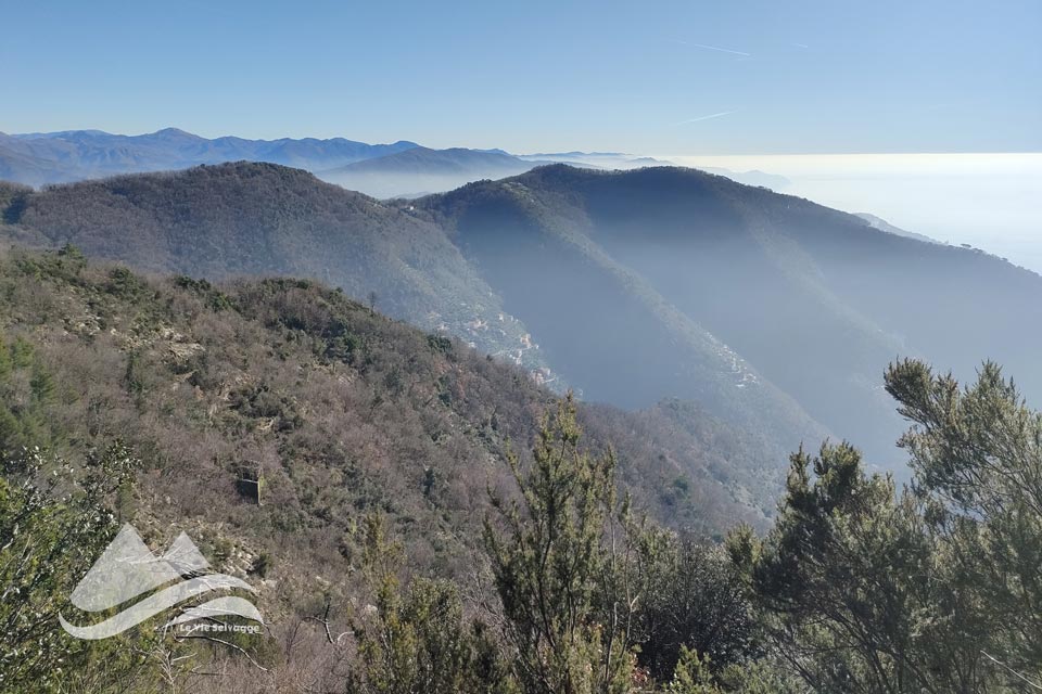 IMG20240127112945 960