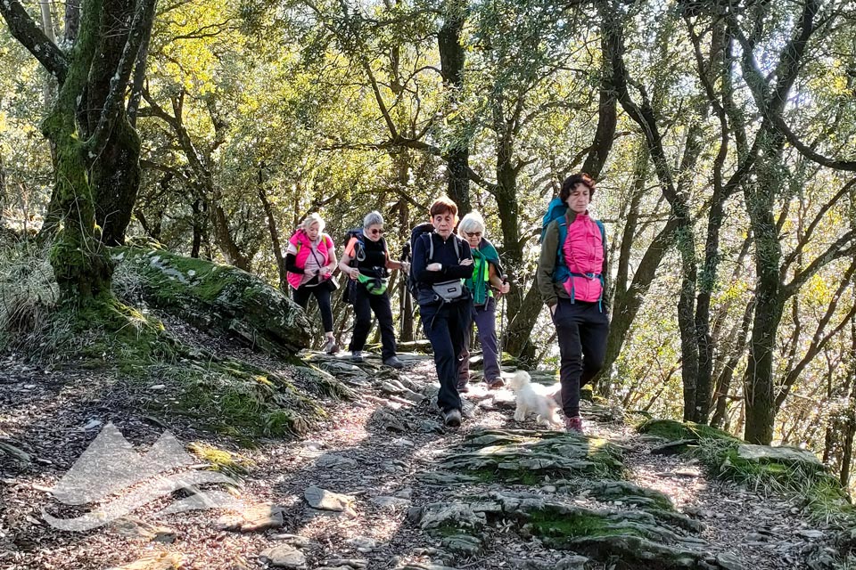 IMG20240127130637 960