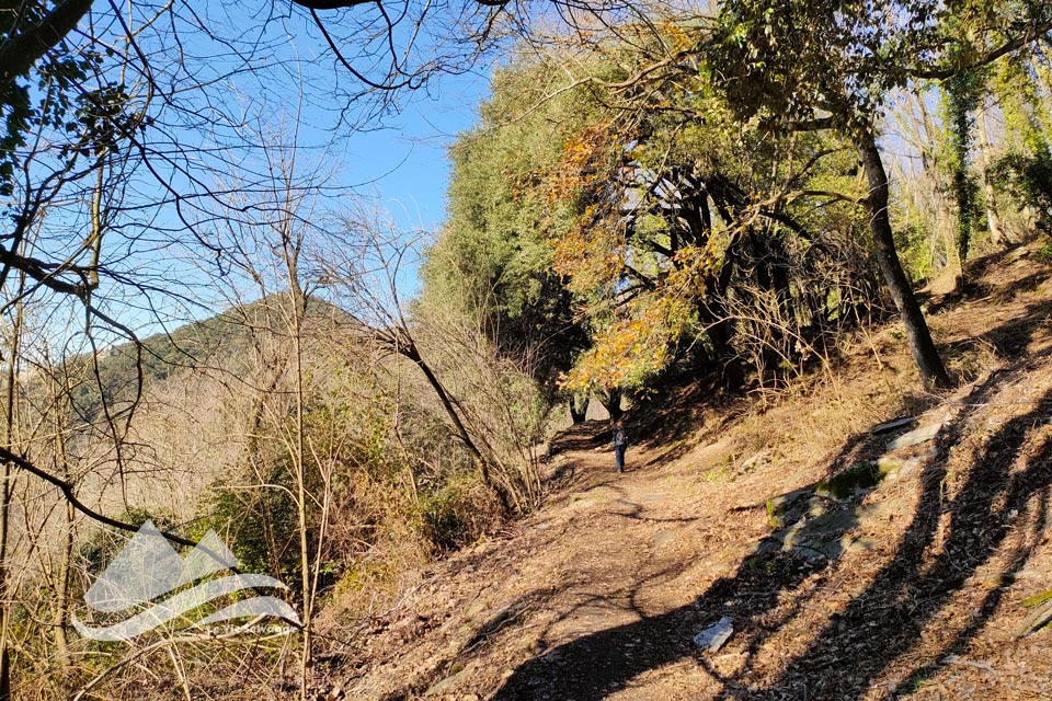 IMG20240127131530 960