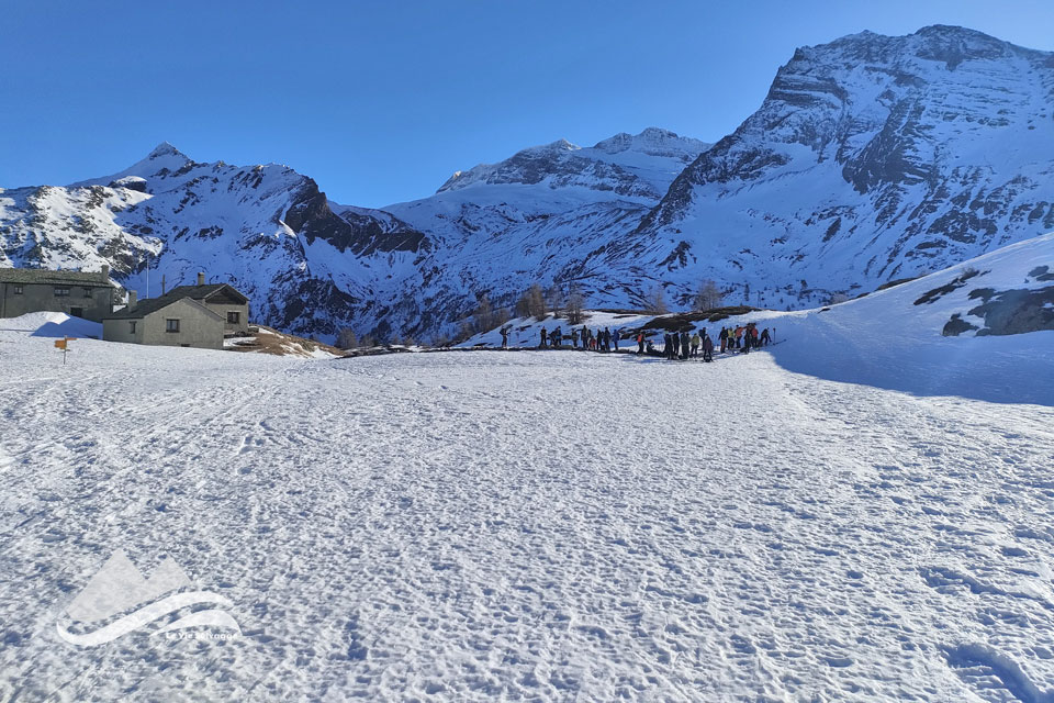 IMG20240128100944 960