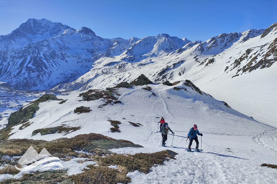 IMG20240128111544 960