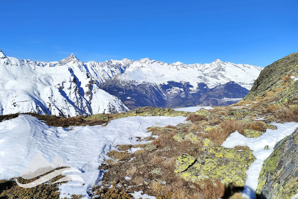 IMG20240128124125 960