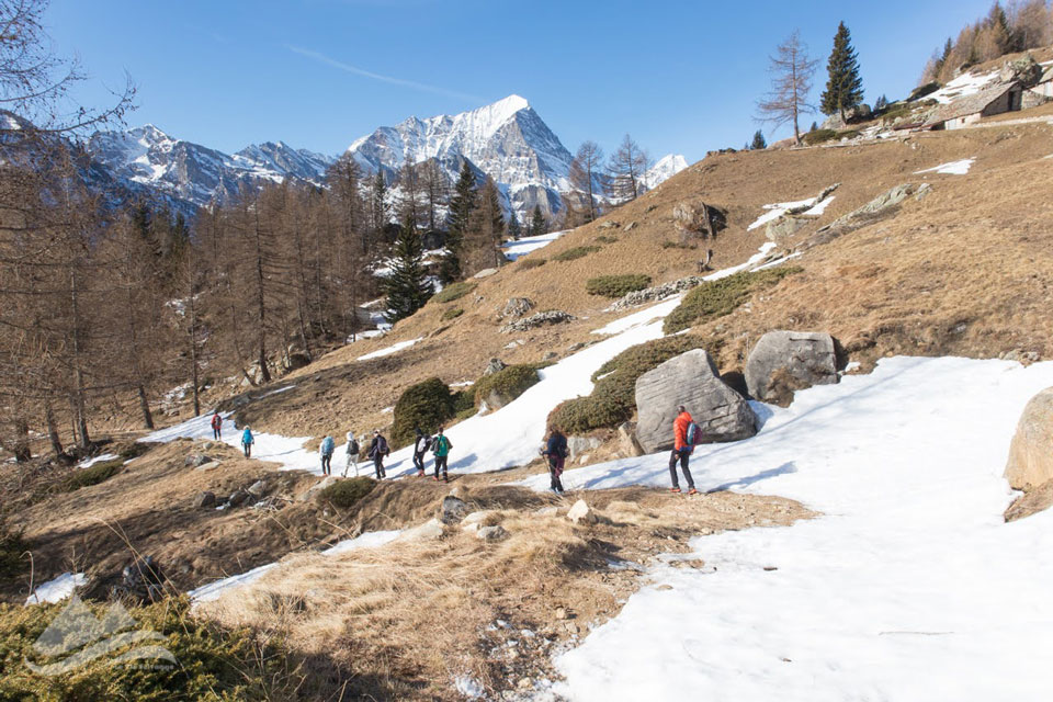 24 02 RifCrosta IMG 7463 960