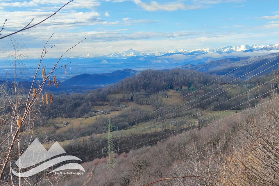 IMG20240211095541 960