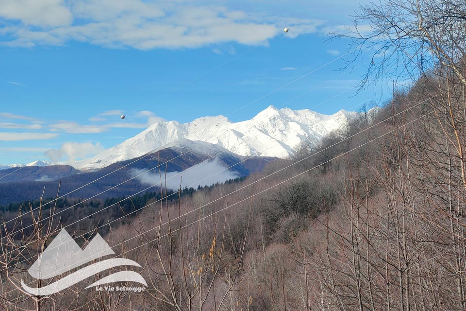 IMG20240211095748 960