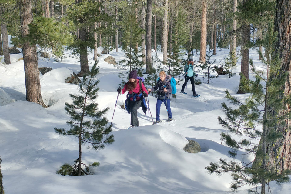 IMG20240217113949 960