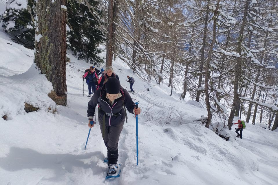 IMG20240224103805 960