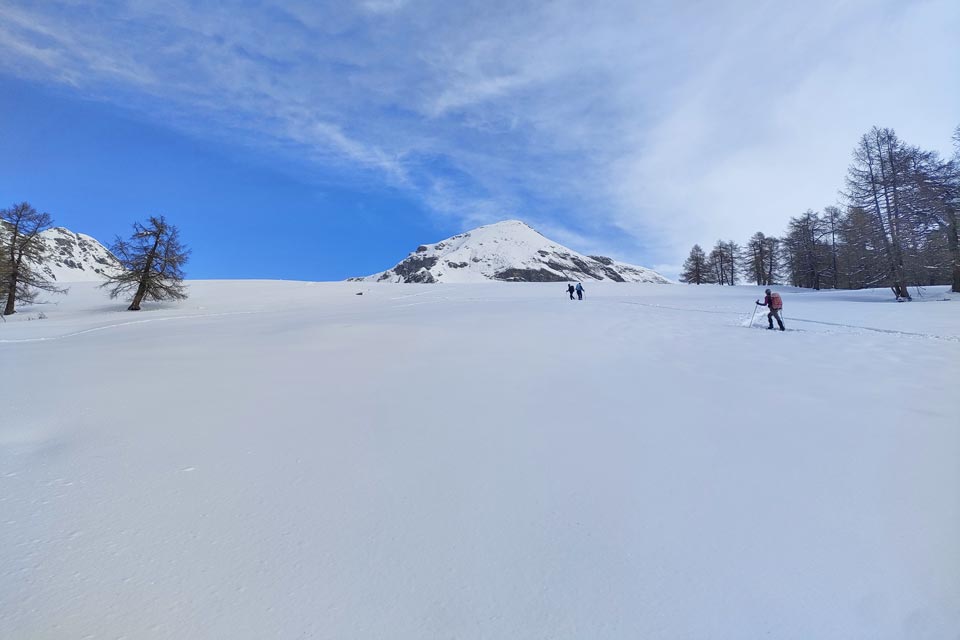 IMG20240224105724 960