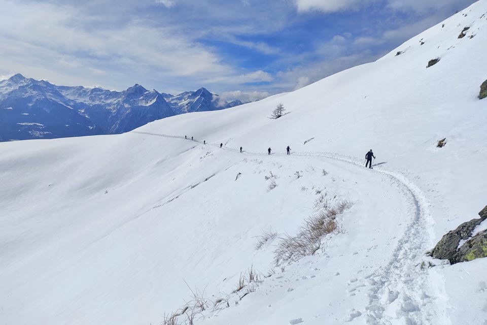 IMG20240224114104 960