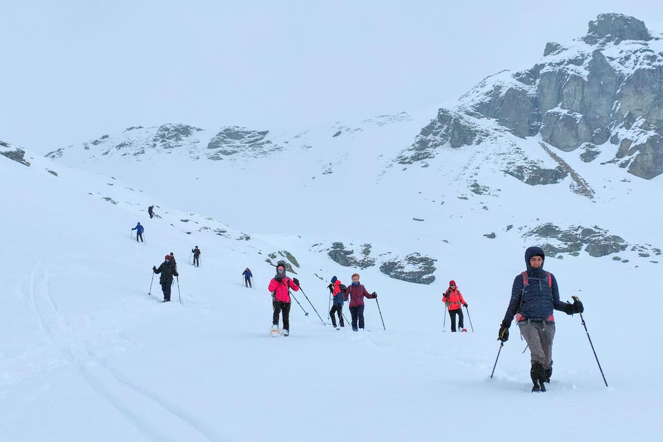 IMG20240224133101 960