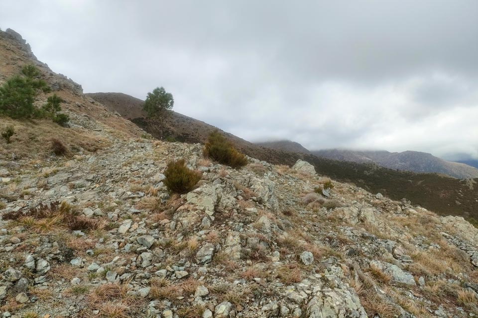 IMG20240225103400 960