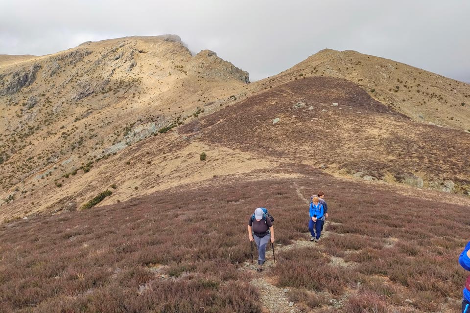 IMG20240225110332 960