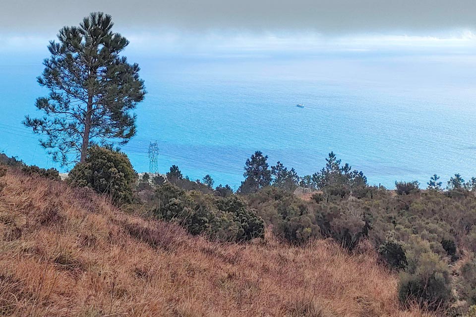 IMG20240225131530 960