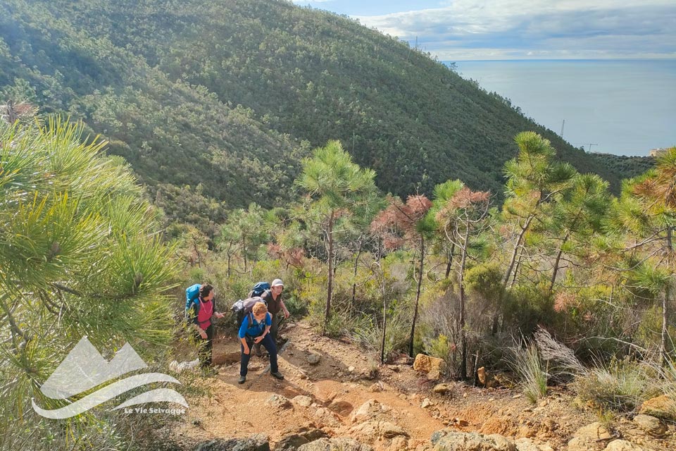 IMG20240302094600 960