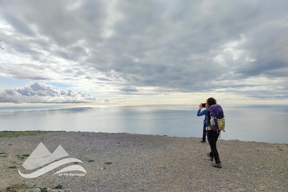 IMG20240302102618 960