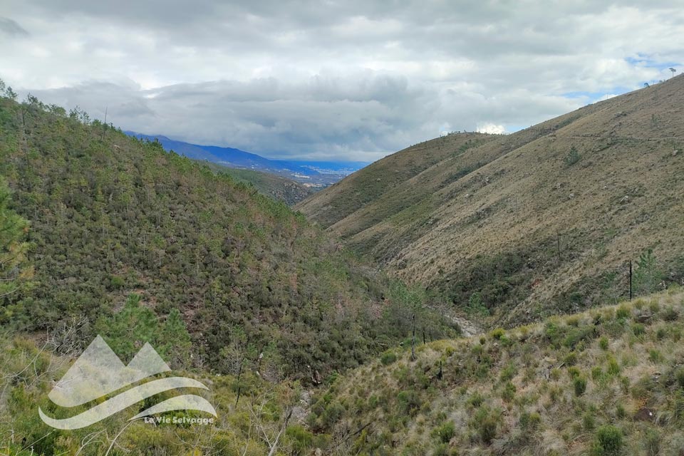 IMG20240302121628 960