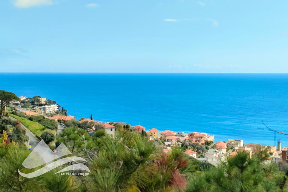 IMG20240302143853 960