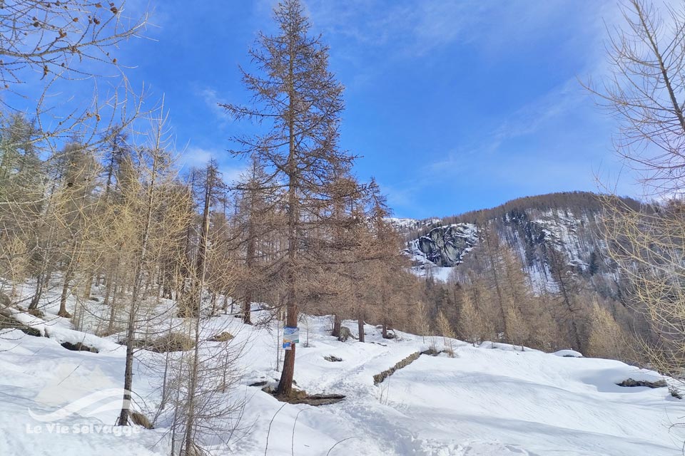 IMG20240309103657 960