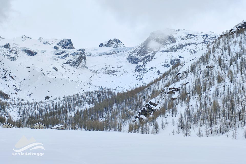 IMG20240309114227 960