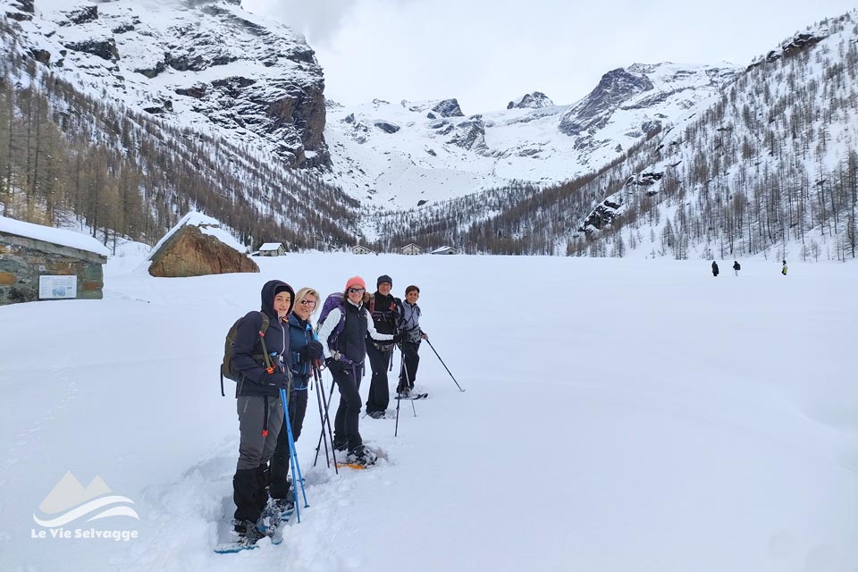 IMG20240309114736 960