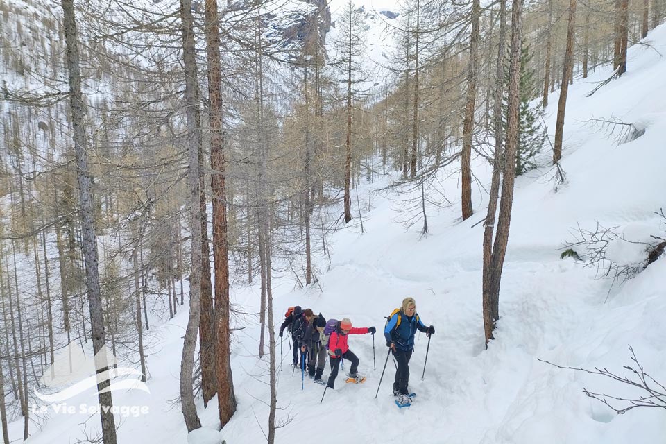 IMG20240309121205 960