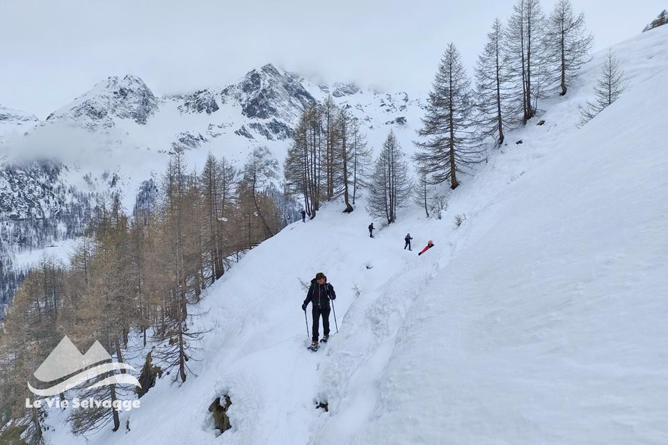 IMG20240309134720 960