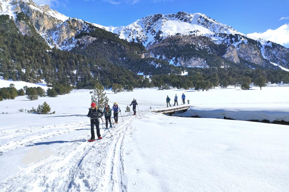 IMG20240316095357 960