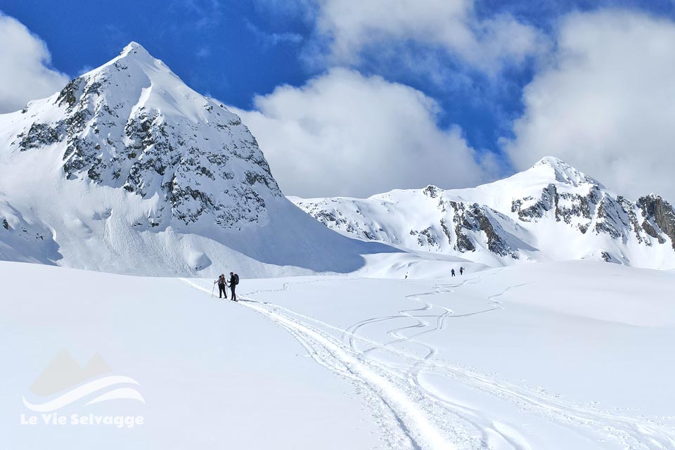 IMG20240316110807 960