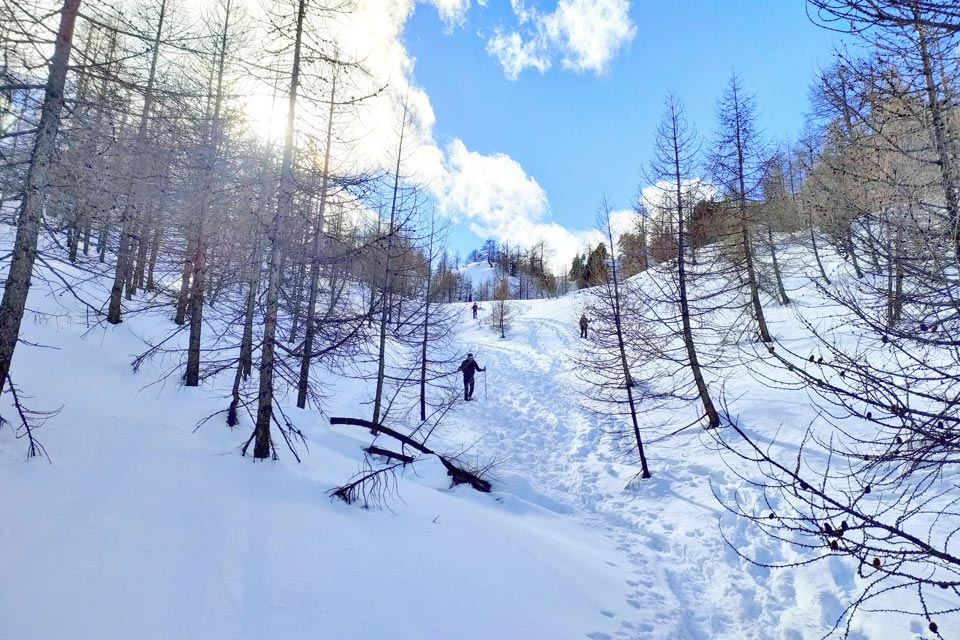 IMG20240316152936 960