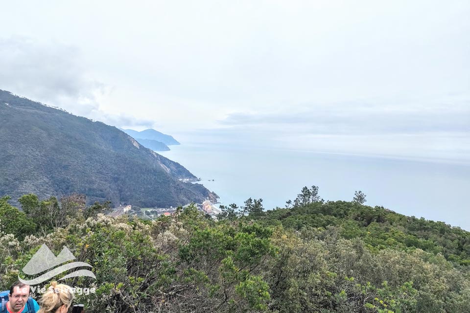 IMG20240317112818 960