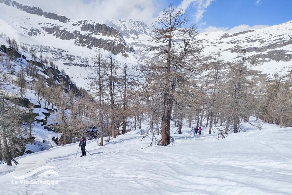 IMG20240323115836 960