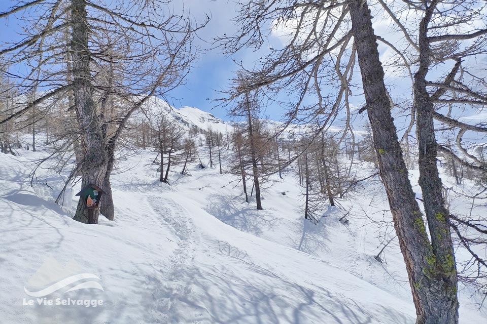 IMG20240323120512 960