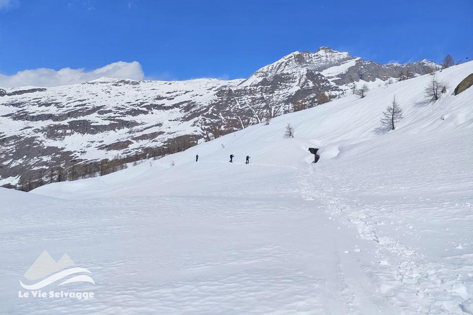 IMG20240323122129 960